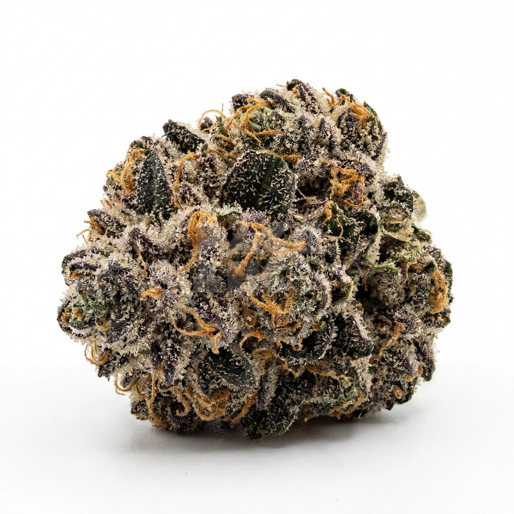 Bud showcase 3