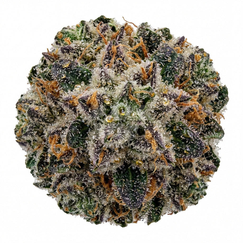 Gator Breath