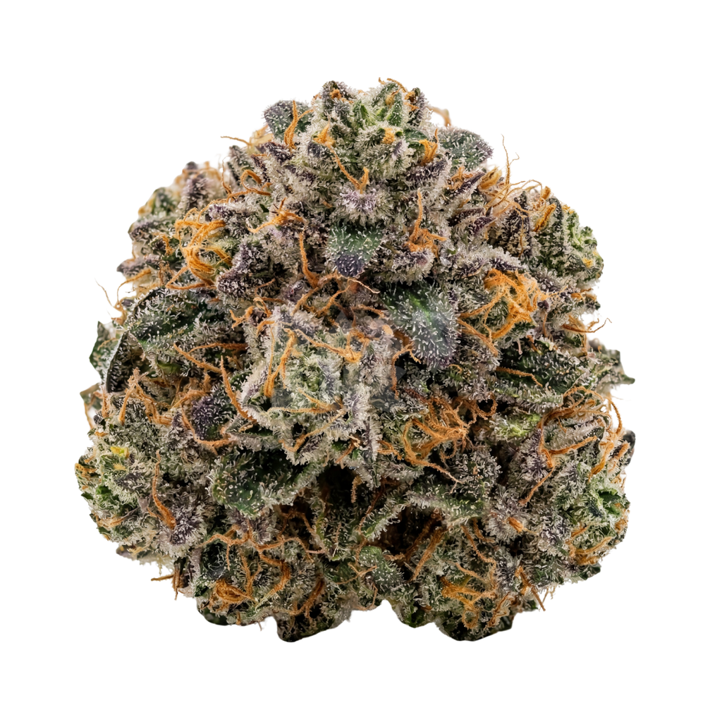 Bud showcase 2