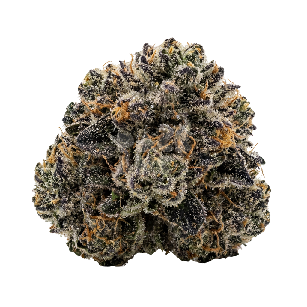 Georgia Pie (fem)