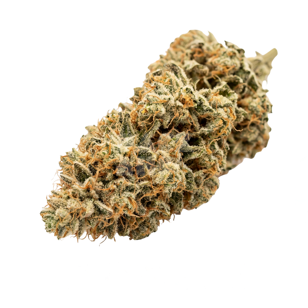 Bud showcase 1