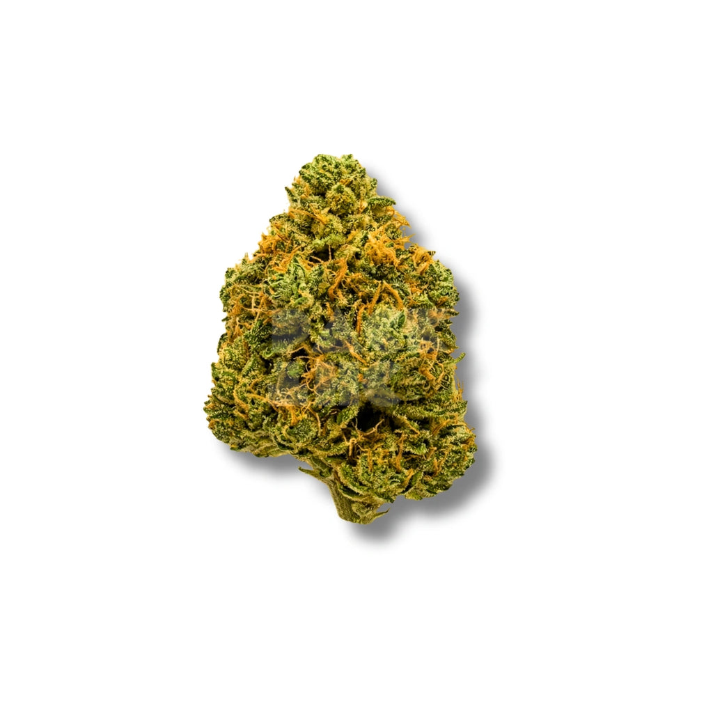 Bud showcase 4