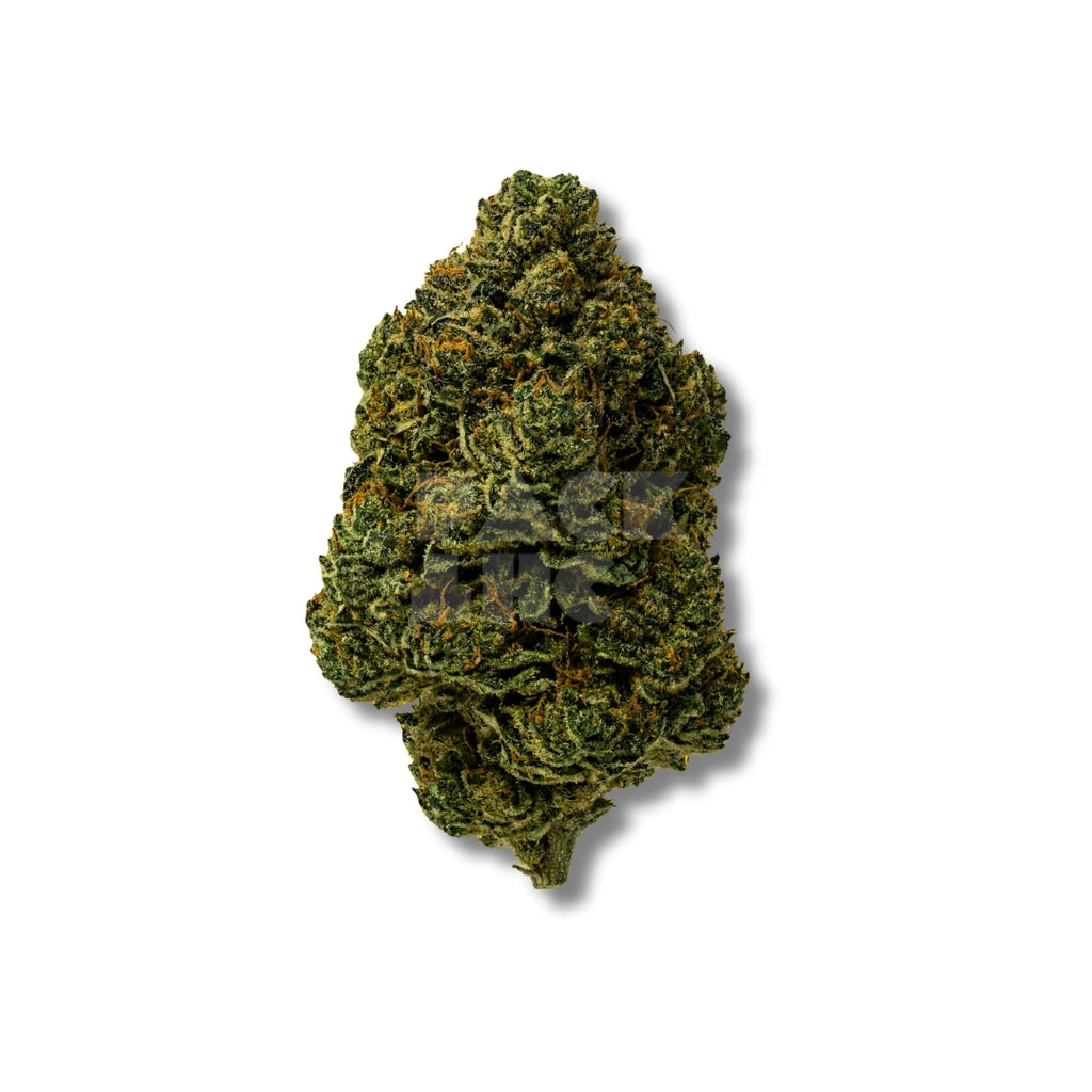 Bud showcase 3