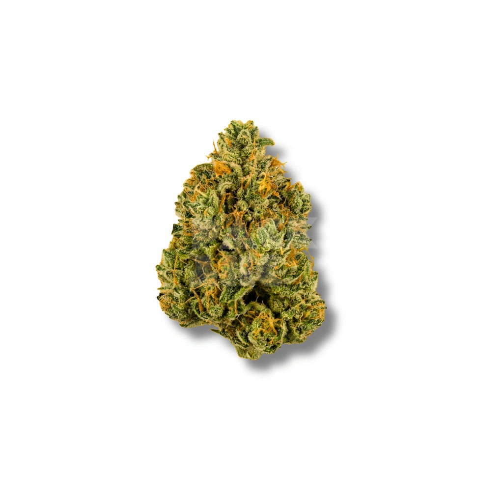Bud showcase 2