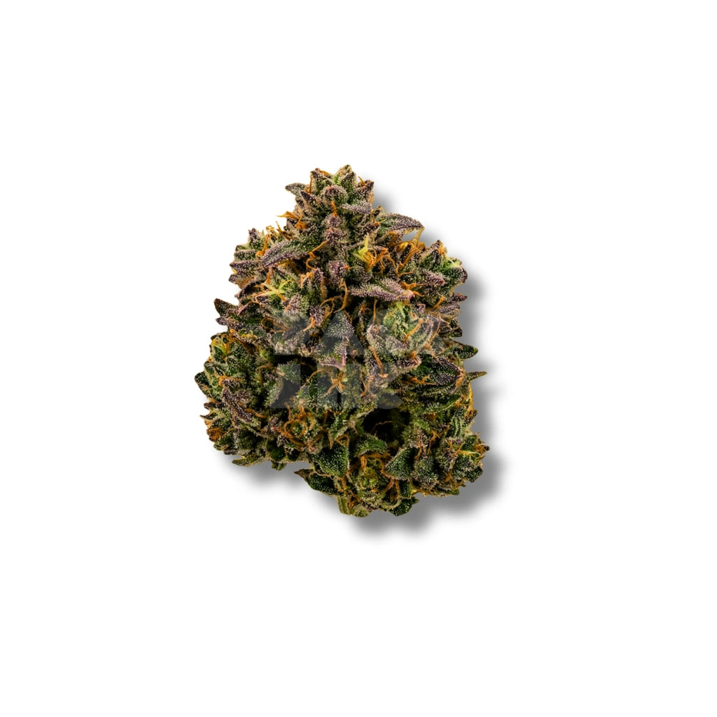 Bud showcase 2