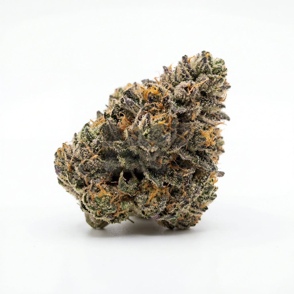 Bud showcase 4
