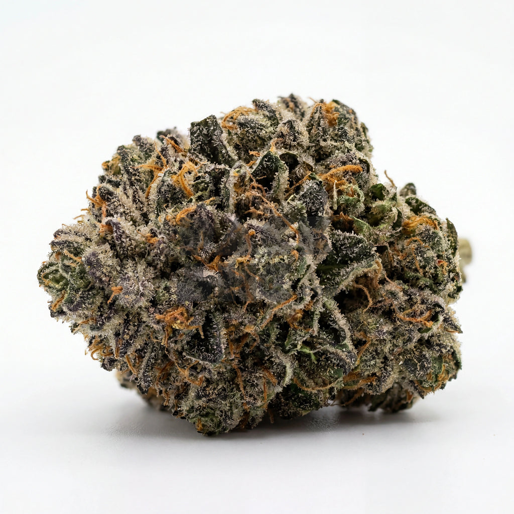 Bud showcase 2