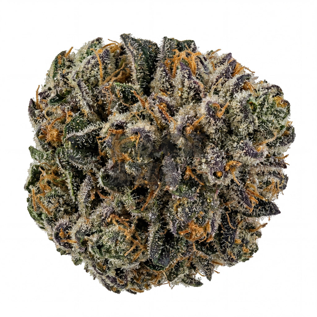 Bud showcase 4