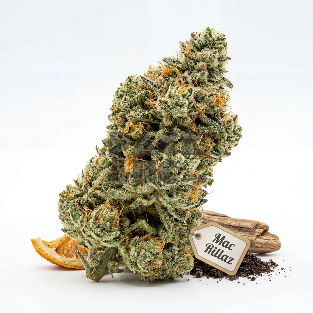Bud showcase 3