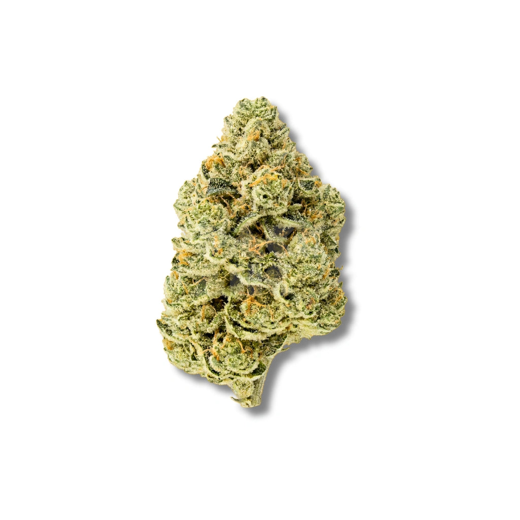 Bud showcase 2